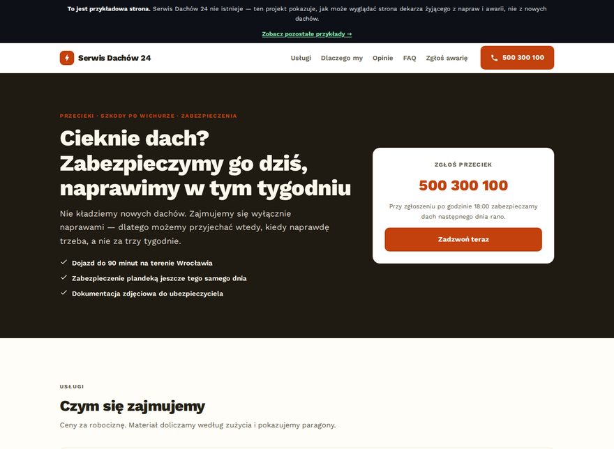 Przykładowa strona — Serwis Dachów 24