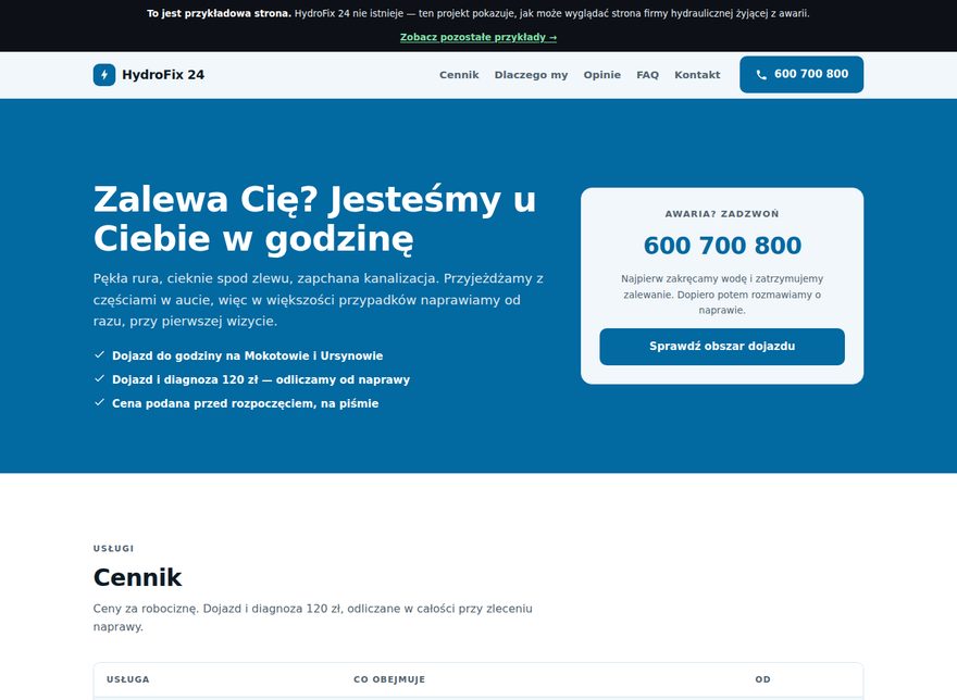 Przykładowa strona — Firma hydrauliczna
