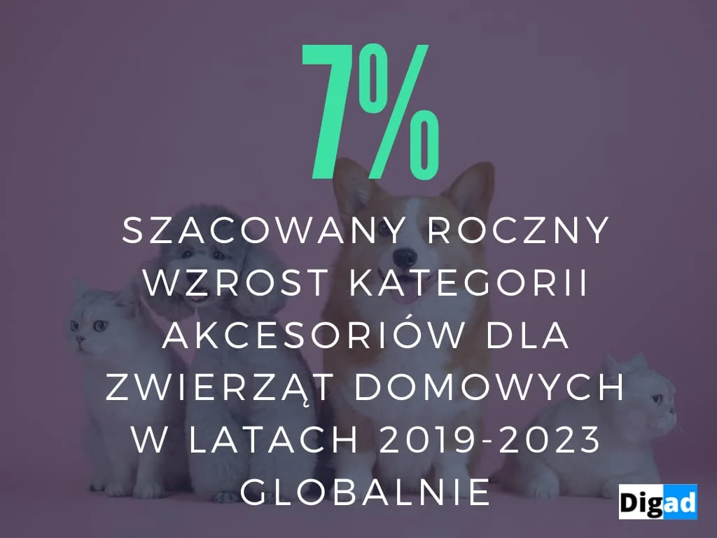 co sprzedawac w internecie akcesoria dla zwierzat